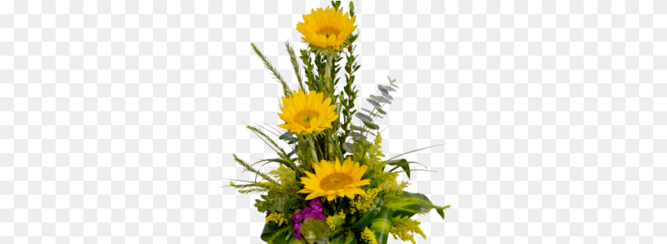 Detalle De Girasol Flower, Flower Arrangement, Flower Bouquet, Plant, Sunflower Png Image