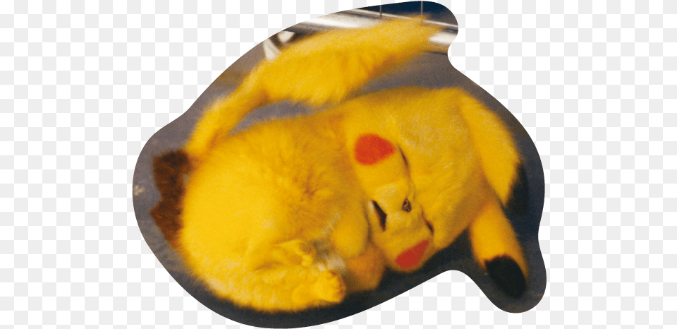 Detective Pikachu Stickers Whatsapp, Animal, Cat, Mammal, Pet Png Image