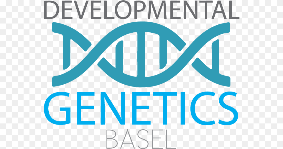 Developmental Genetics Basel Developmental Genetics Graphic Design, Logo, Dynamite, Weapon, Text Png Image