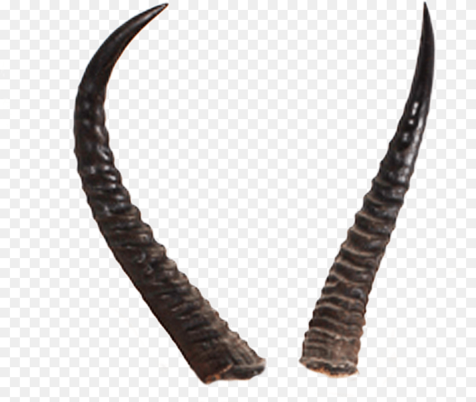 Devil Horns Clip Art Royalty Library Weapon, Animal, Antelope, Impala, Mammal Png