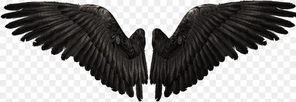 Devil Wings Download Devil Wings, Animal, Bird, Vulture, Condor Png Image