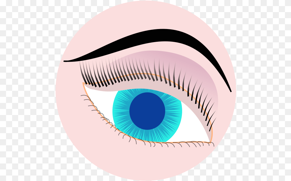 Devils Eyes Clip Art Download Lashes In Circle Icon Clipart Transparent, Contact Lens, Disk Free Png