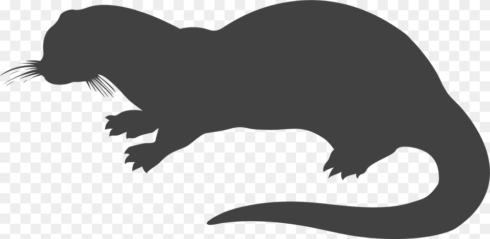 Devilsilhouetteclip Artillustrationwalrus, Animal, Mammal, Wildlife, Fish Png Image
