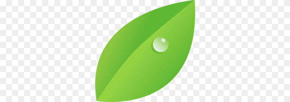 Dew Droplet, Leaf, Plant, Green Free Transparent Png