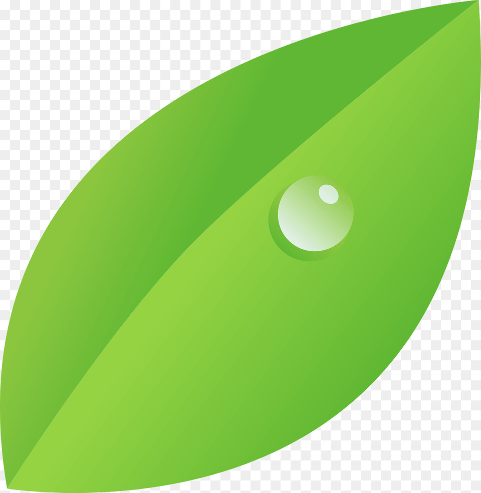 Dew Drop Clipart, Droplet, Green, Leaf, Plant Free Png