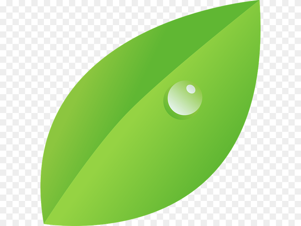 Dew Drop Clipart Clip Art, Droplet, Leaf, Plant, Green Free Transparent Png