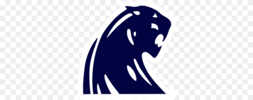 Dewitt Panthers Dewitt High School Panthers, Baby, Person, Animal, Mammal Free Png Download