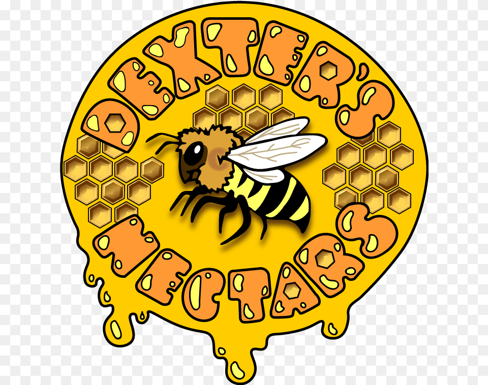 Dexter Body Soul And Spirit, Animal, Bee, Honey Bee, Insect Png Image