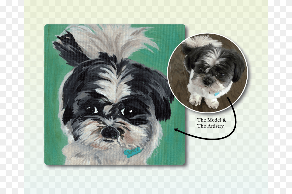 Dexter Maltese Shih Tzu Art, Animal, Bird, Canine, Dog Free Png Download