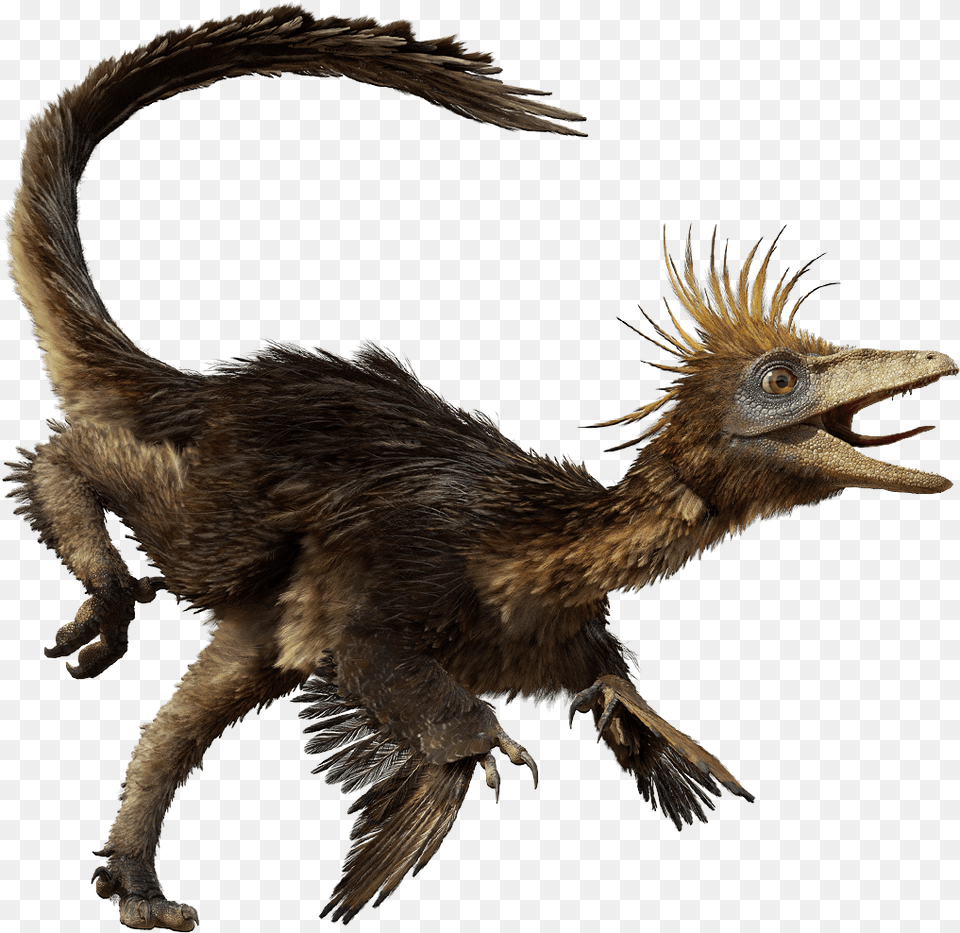 Dfhj Dinosaurs Troodon, Animal, Bird, Vulture Free Png Download