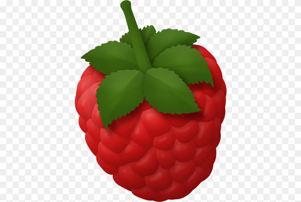 Dg Raspberry Beautiful Album Fruit Raspberry, Berry, Food, Plant, Produce Free Png Download
