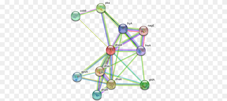 Dham Protein Circle, Chandelier, Lamp, Network, Sphere Free Png Download