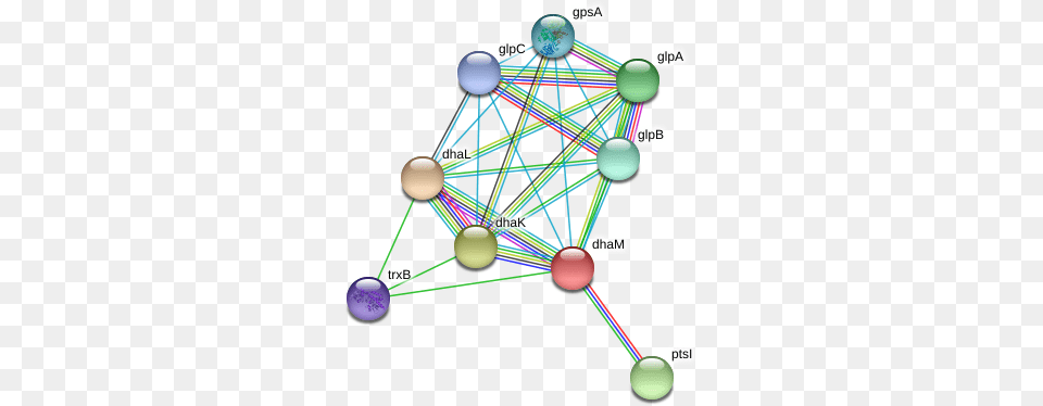 Dham Protein Circle, Sphere, Network, Chandelier, Lamp Free Transparent Png