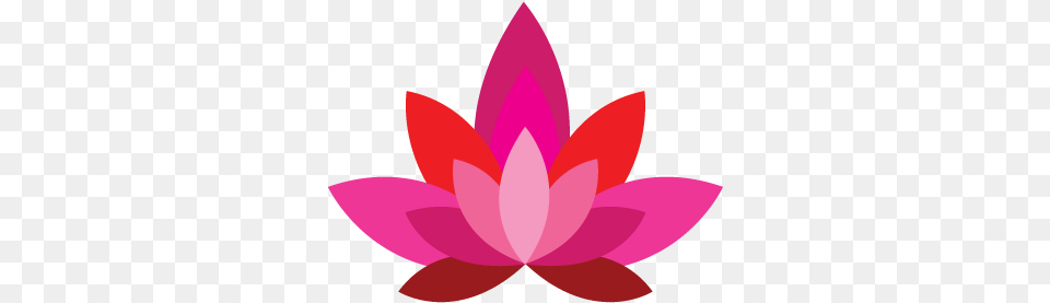 Dharma Acupuncture About Nymphaea Nelumbo, Flower, Plant, Lily, Petal Free Png