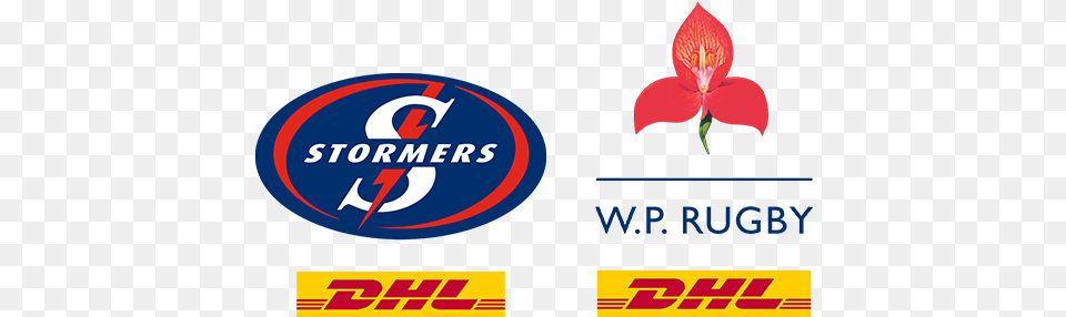 Dhl Dhl Western Province Logo, Flower, Plant Free Png Download