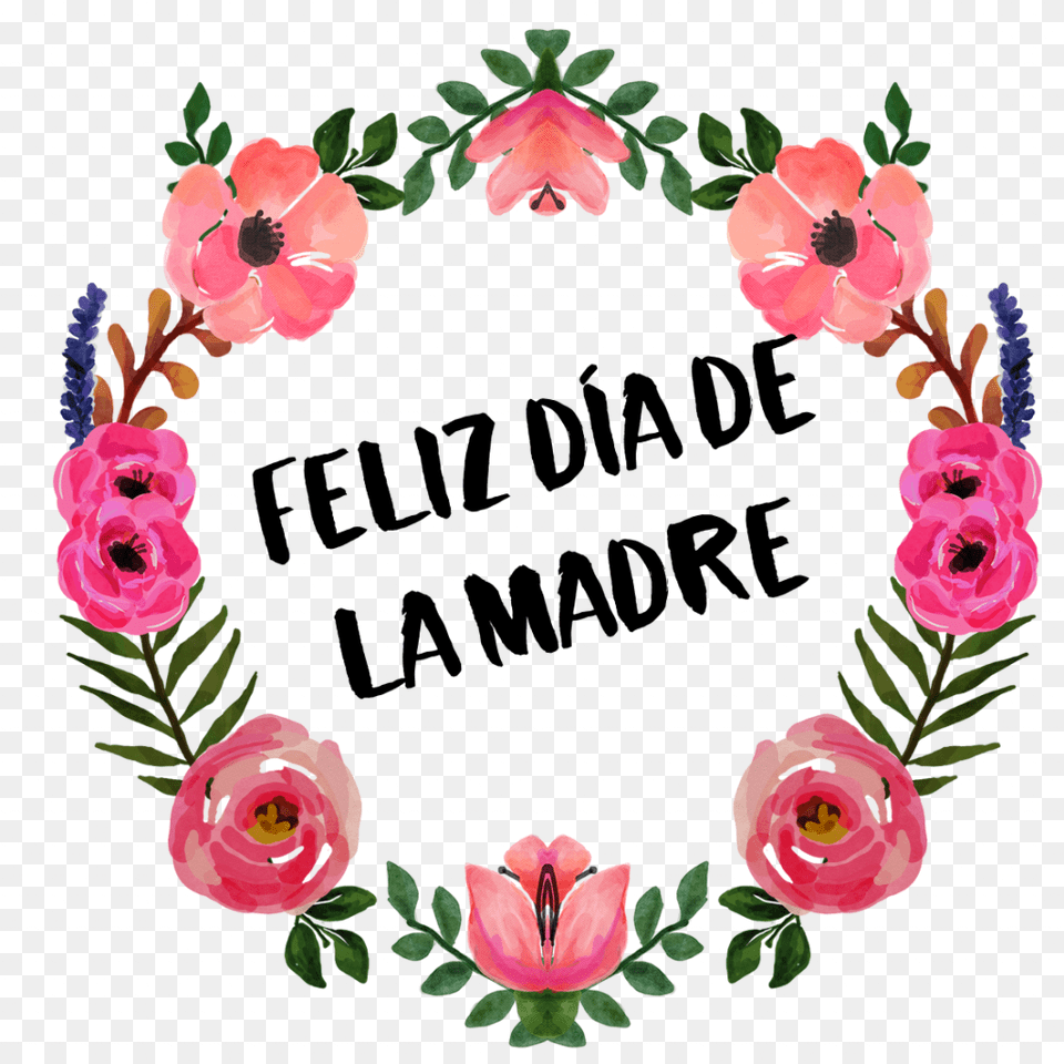 Dia De Las Madres Feliz Dia De La Madre, Plant, Flower, Rose, Petal Free Png