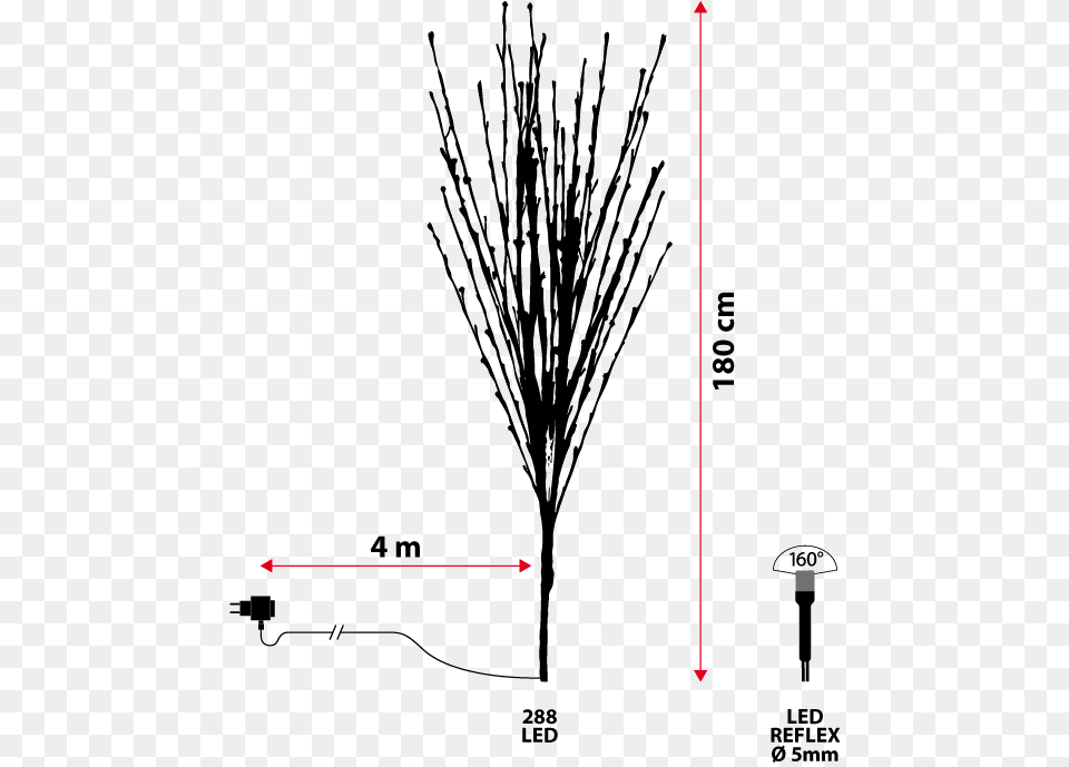 Diagram, Grass, Plant, Vegetation Png Image