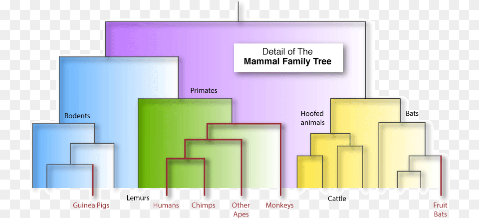 Diagram Free Transparent Png