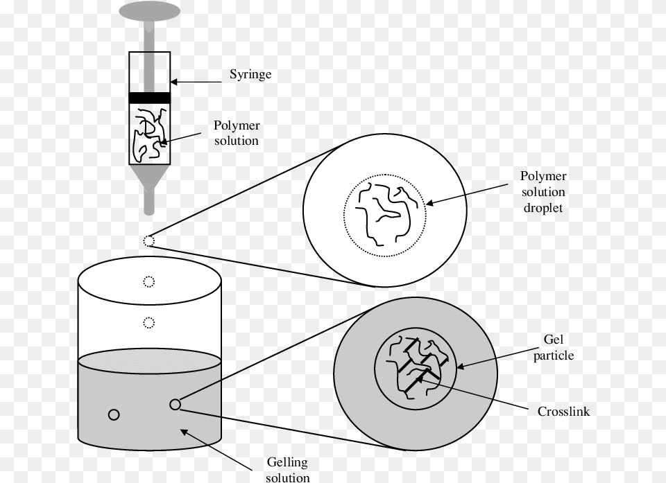 Diagram Free Png Download