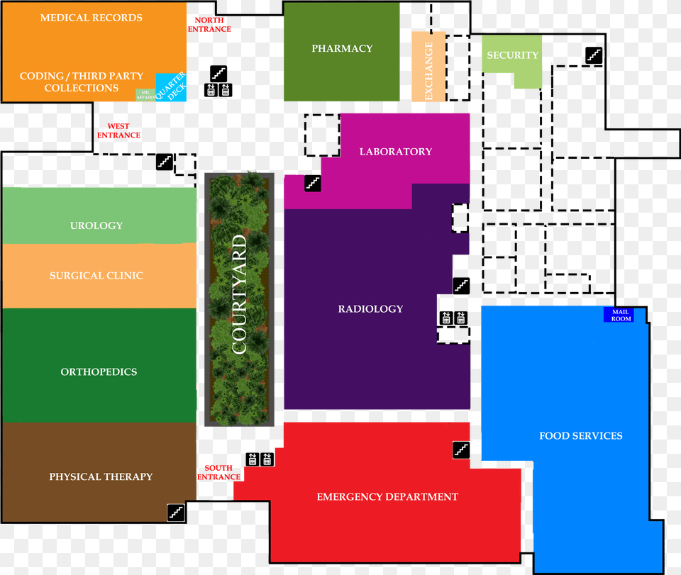 Diagram, Plant, Vegetation, Grass Free Png