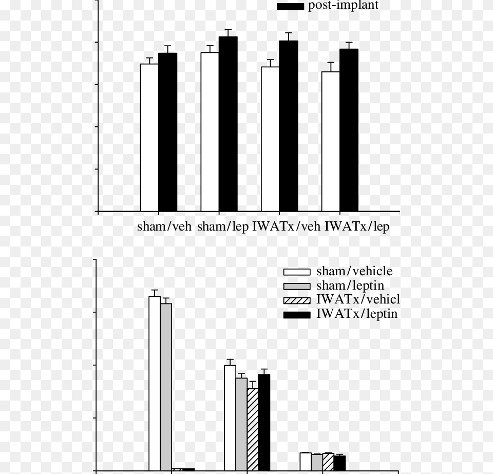 Diagram, Road, Tarmac, City Free Transparent Png