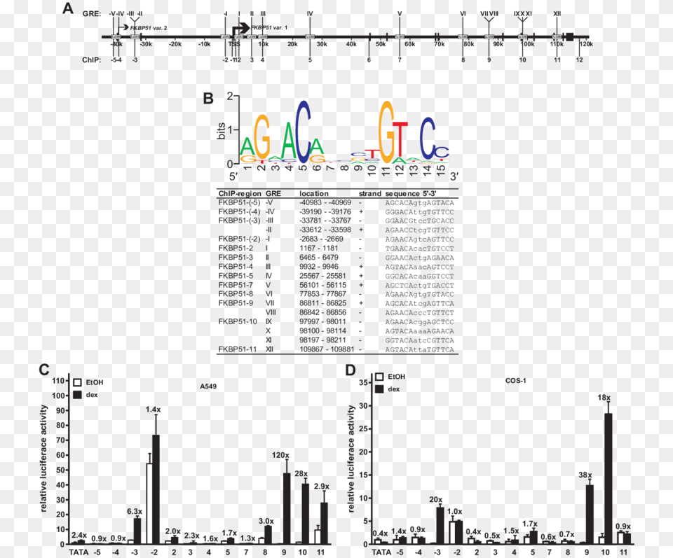 Diagram, City, Chart, Plot Free Transparent Png