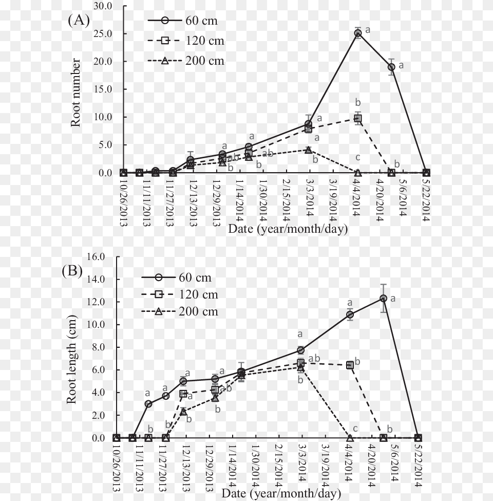 Diagram 1374, Chart, Plot Png Image