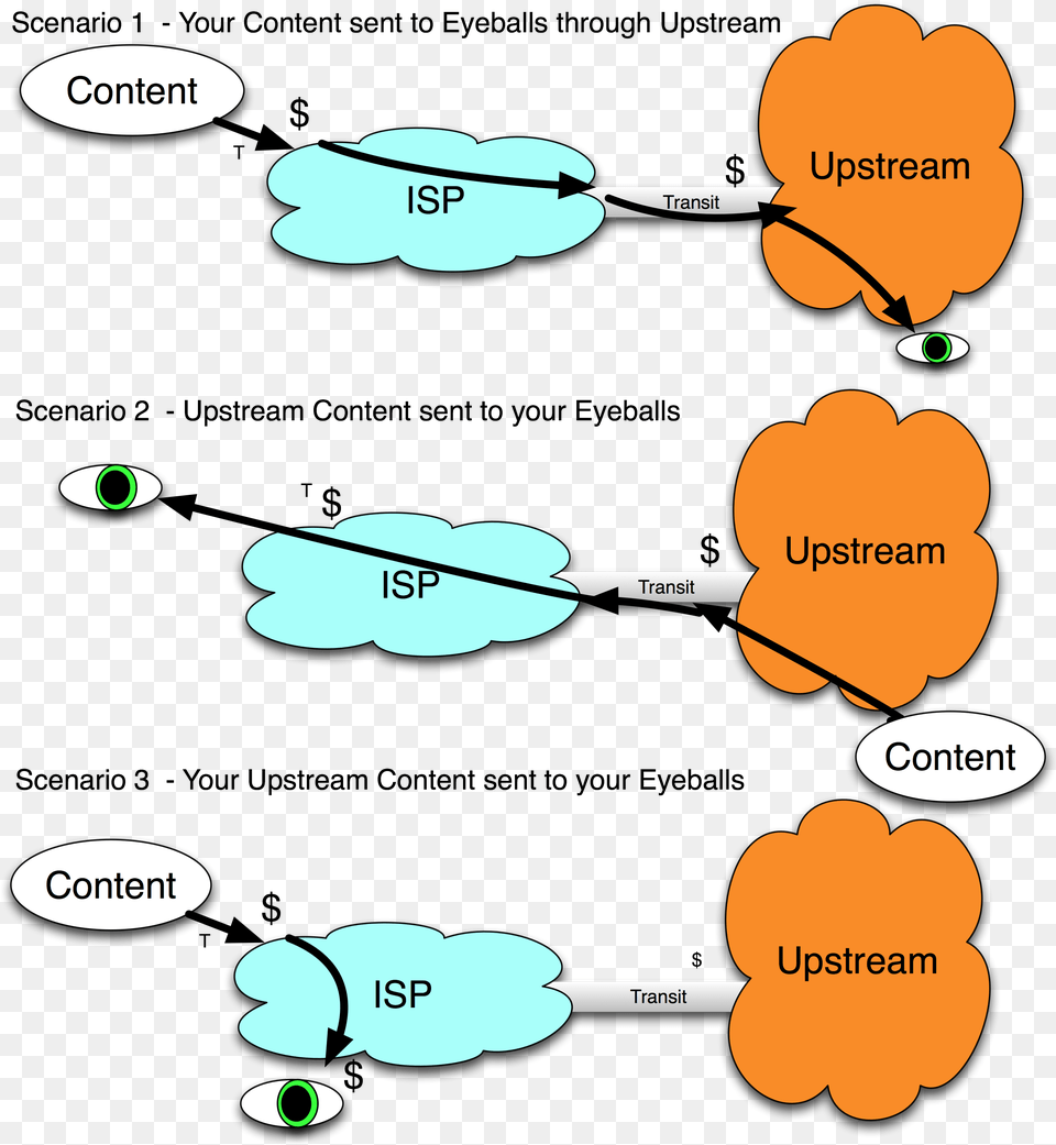 Diagram, Flower, Petal, Plant, Anther Png Image