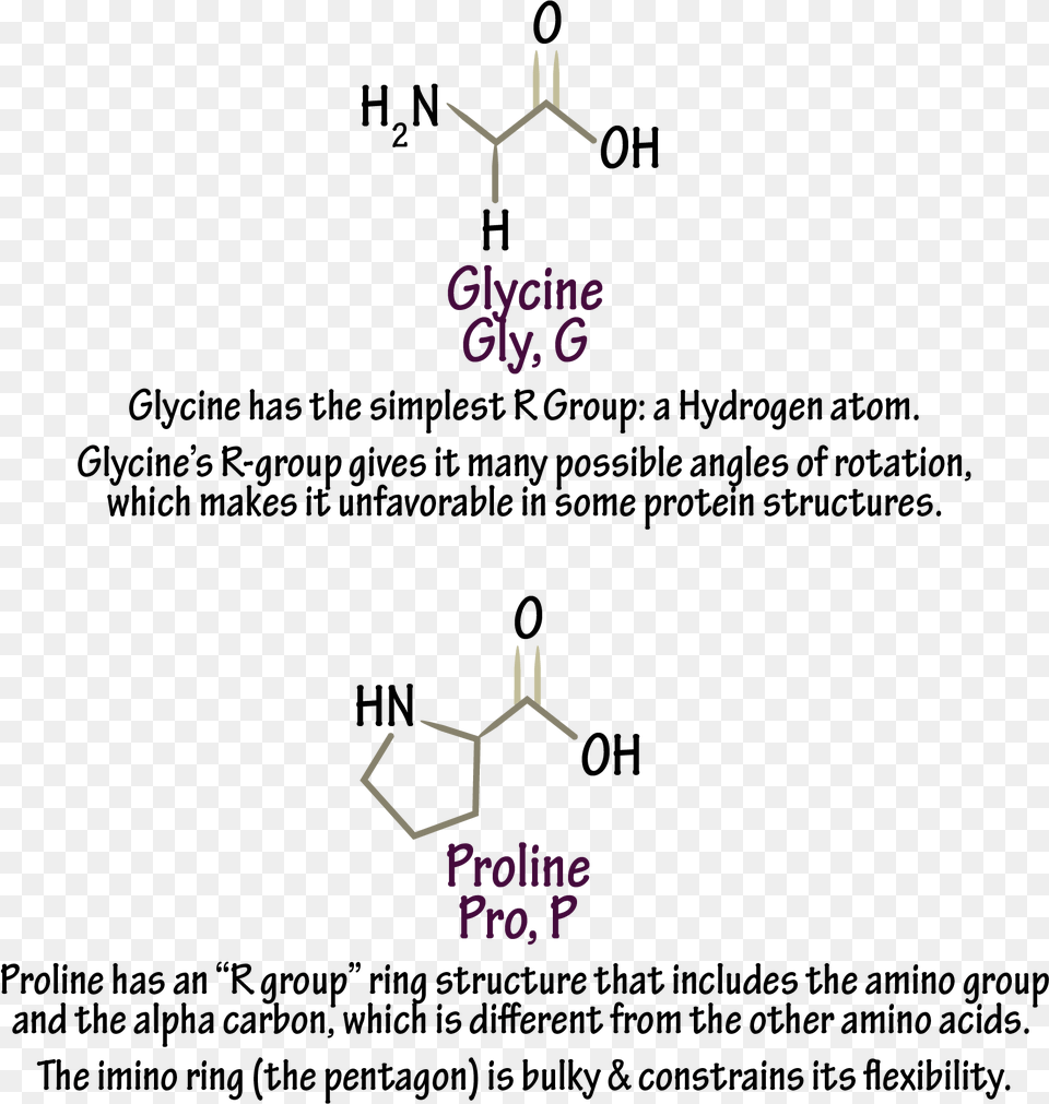 Diagram Free Transparent Png