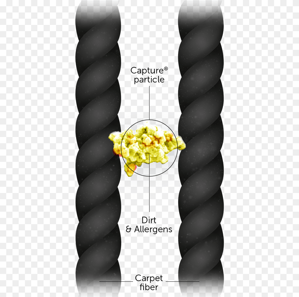 Diagram, Food, Popcorn Free Transparent Png