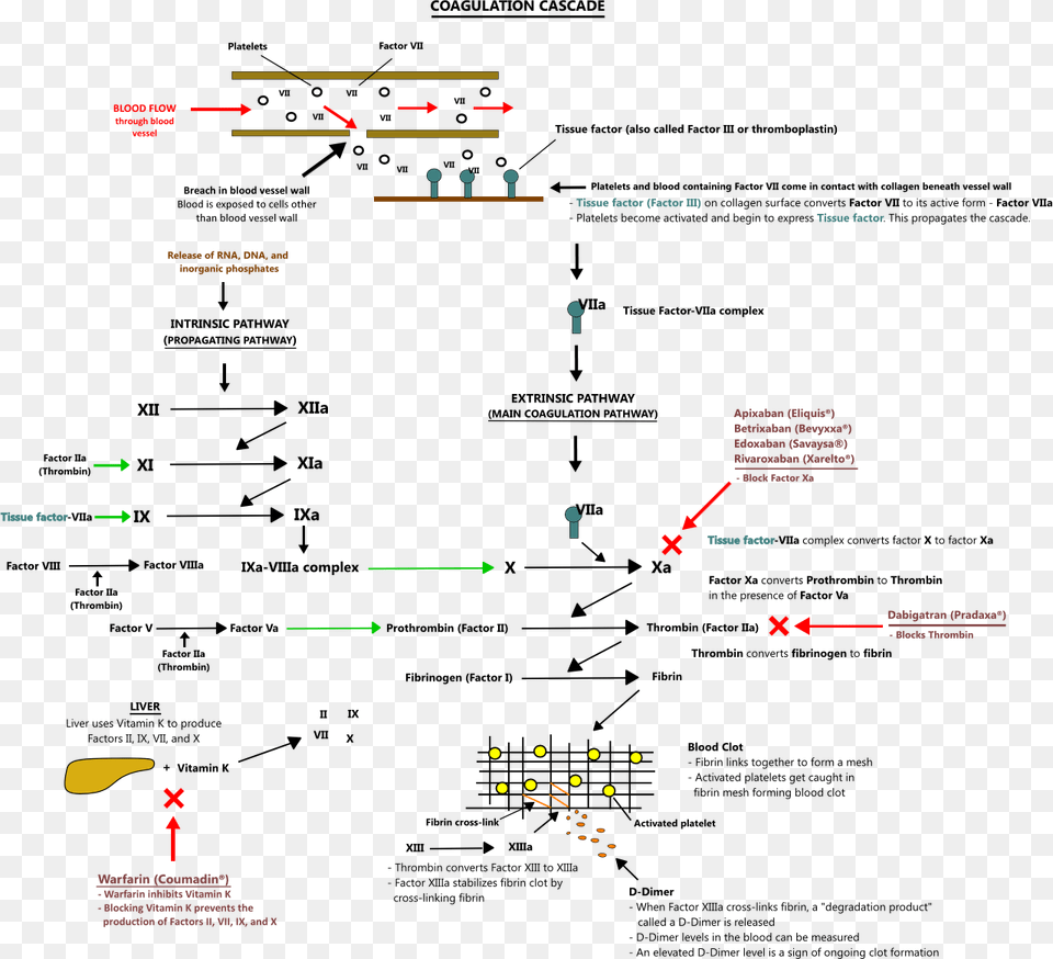 Diagram Free Transparent Png