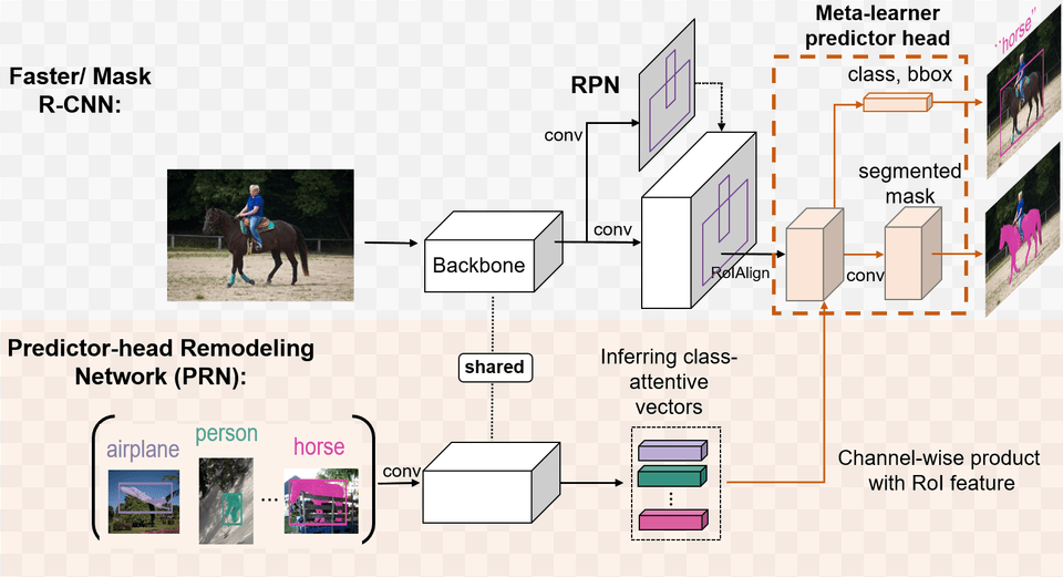 Diagram, Person, Animal, Horse, Mammal Png Image