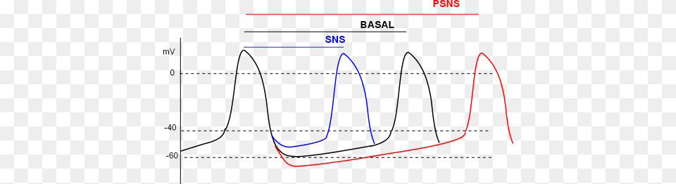 Diagram, Chart, Plot, Measurements Png Image