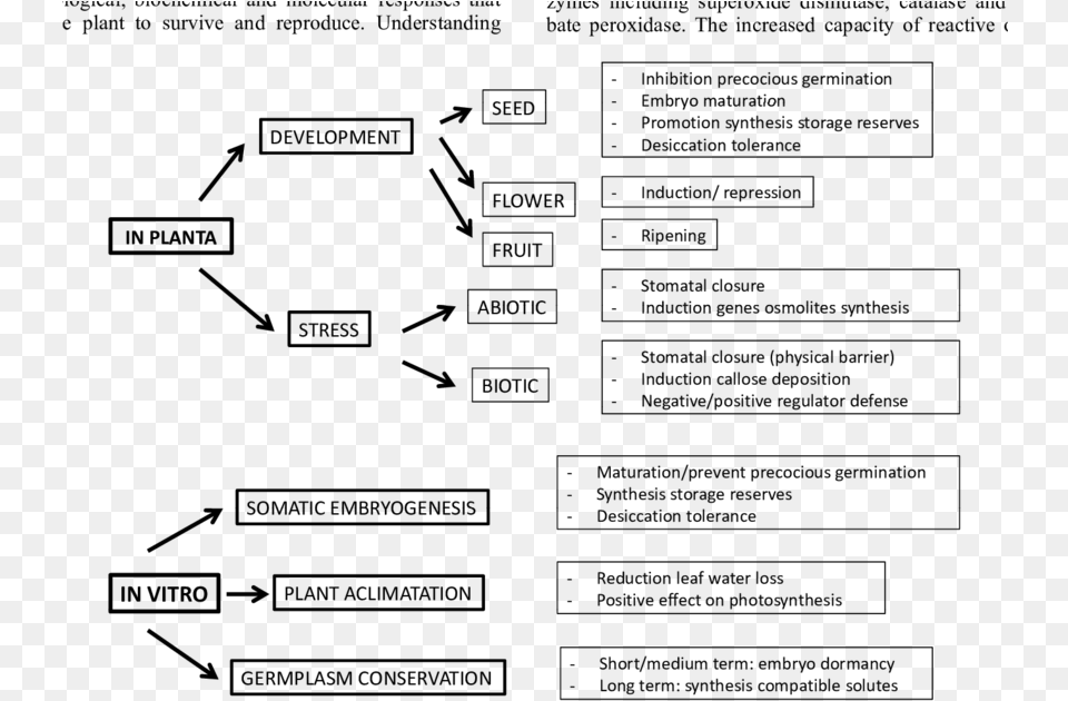 Diagram, Gray Png Image