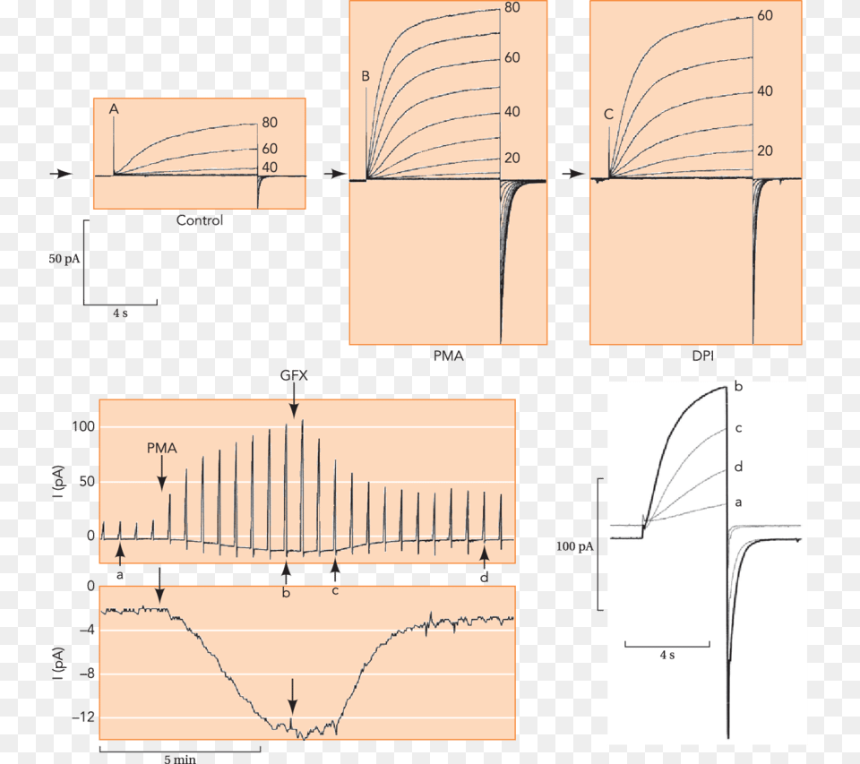 Diagram, Chart, Plot, Measurements Png