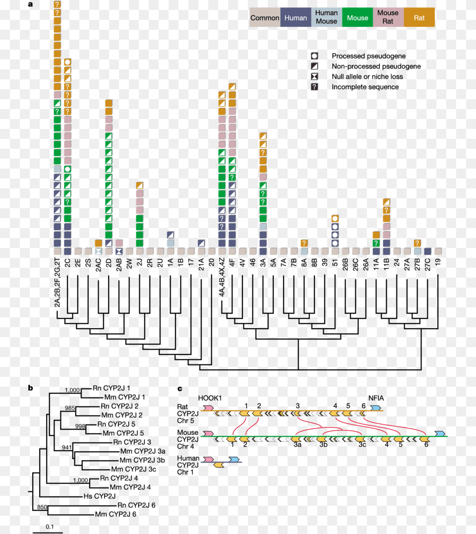 Diagram, Game, Super Mario Png Image