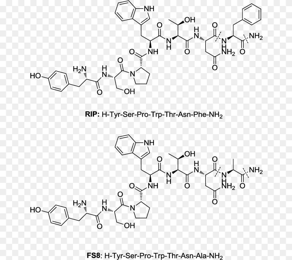 Diagram, Gray Free Png