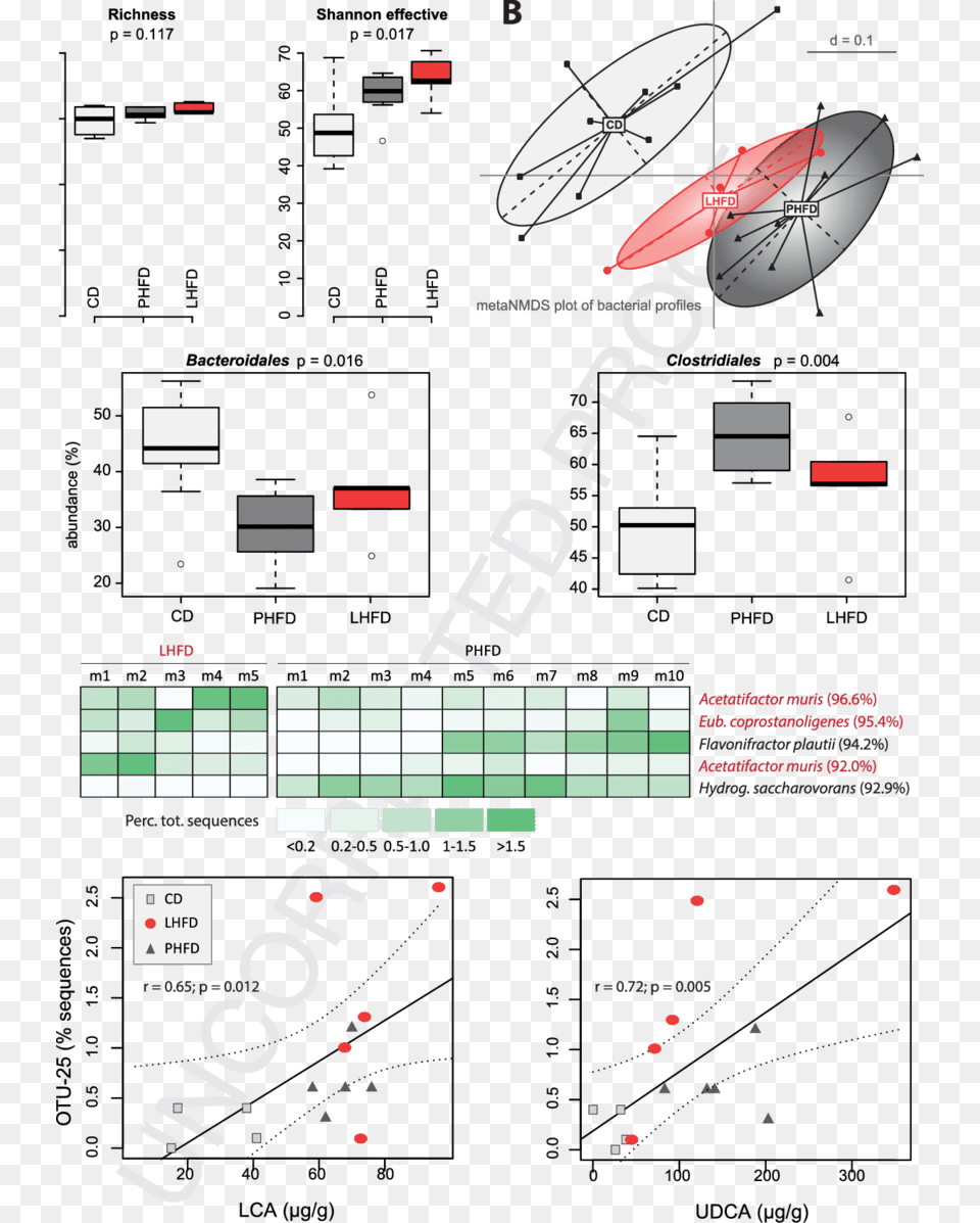 Diagram Free Png