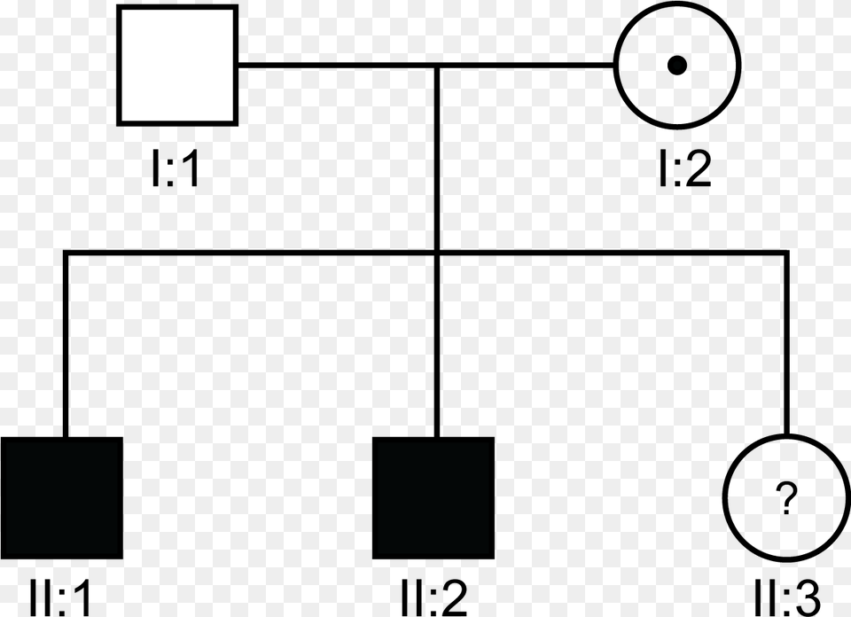 Diagram, Lighting Png Image