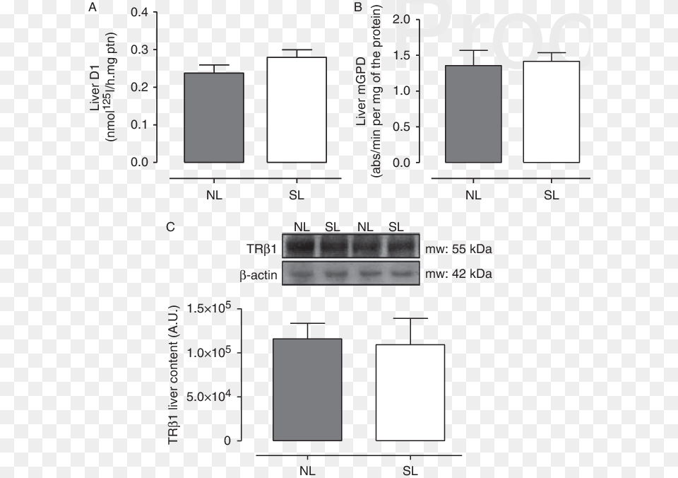 Diagram, Chart, Plot Png Image