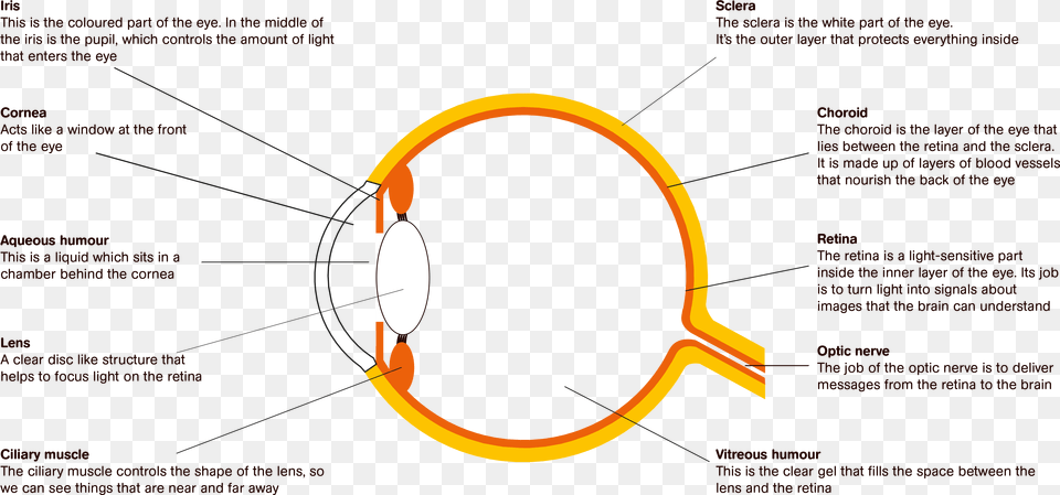 Diagram, Astronomy, Eclipse Free Png