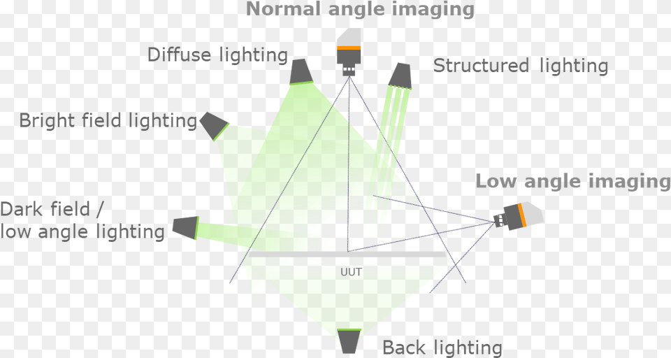 Diagram, Leaf, Plant Png