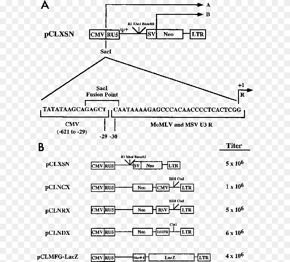 Diagram, Gray Free Png Download