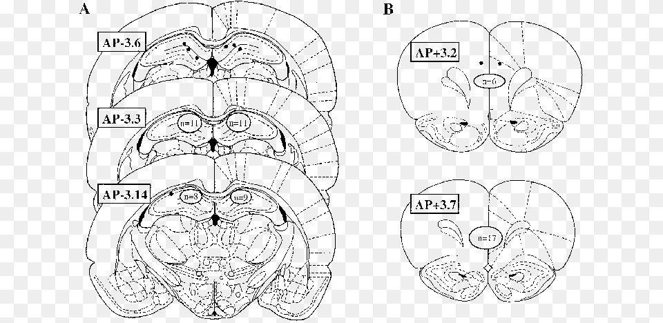 Diagram, Machine, Spoke, Ammunition, Grenade Png