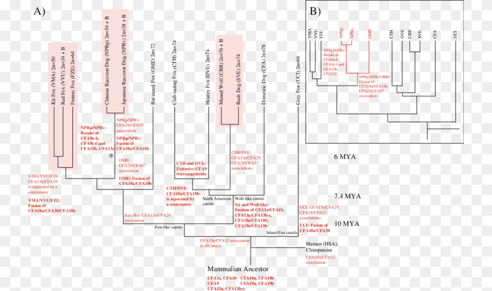 Diagram Png Image