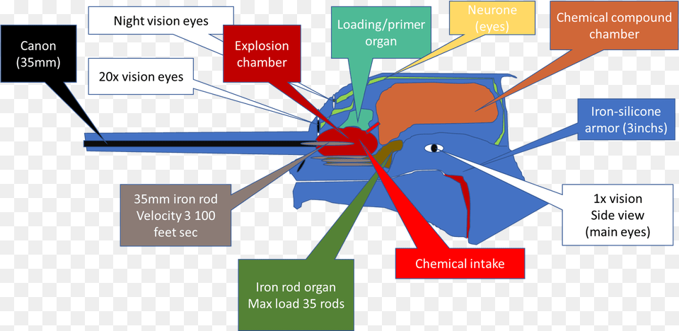 Diagram Png Image