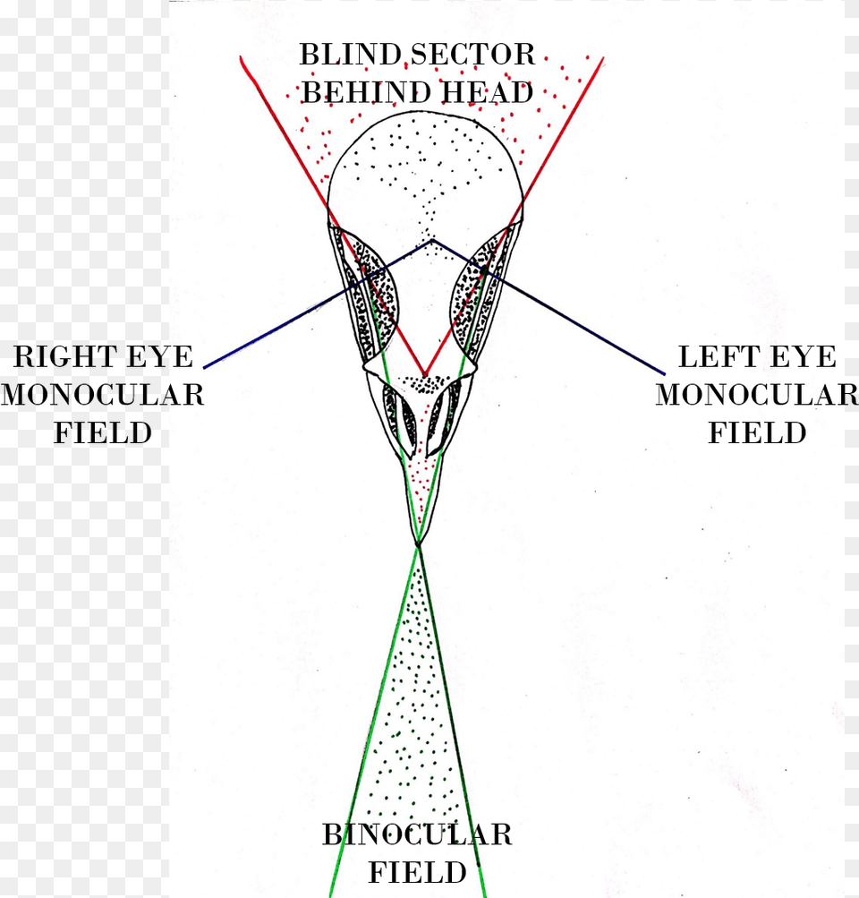 Diagram, Chart, Plot Free Transparent Png