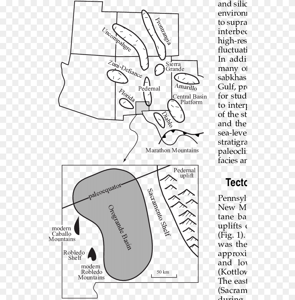 Diagram, Ct Scan Png