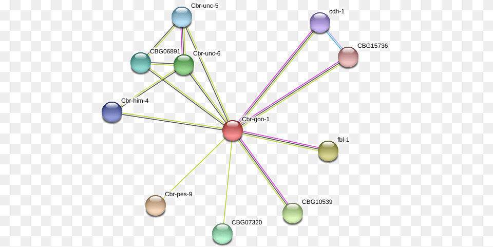Diagram, Network, Chandelier, Lamp, Nature Png