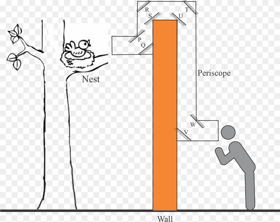 Diagram, Cutlery, Utility Pole, Cross, Symbol Png